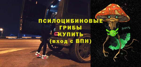 бошки Бородино
