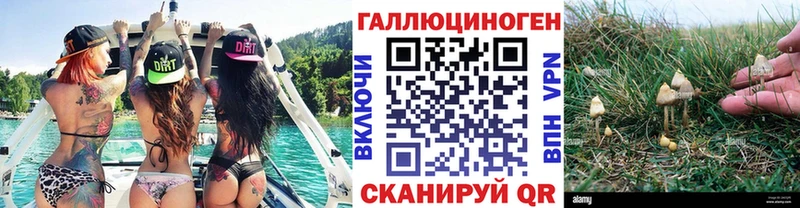 цены наркотик  Горбатов  Псилоцибиновые грибы мицелий 
